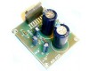Amplificator AD-022 100W Mono